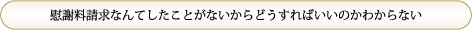 「慰謝料請求なんてしたことがないからどうすればいいのかわからない」