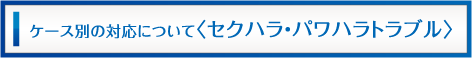ケース別の対応について　（セクハラ・パワハラトラブル）