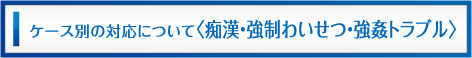 ケース別対応について（痴漢・強制わいせつ・強姦トラブル）